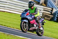 PJ-Motorsport-2019;anglesey;brands-hatch;cadwell-park;croft;donington-park;enduro-digital-images;event-digital-images;eventdigitalimages;mallory;no-limits;oulton-park;peter-wileman-photography;racing-digital-images;silverstone;snetterton;trackday-digital-images;trackday-photos;vmcc-banbury-run;welsh-2-day-enduro